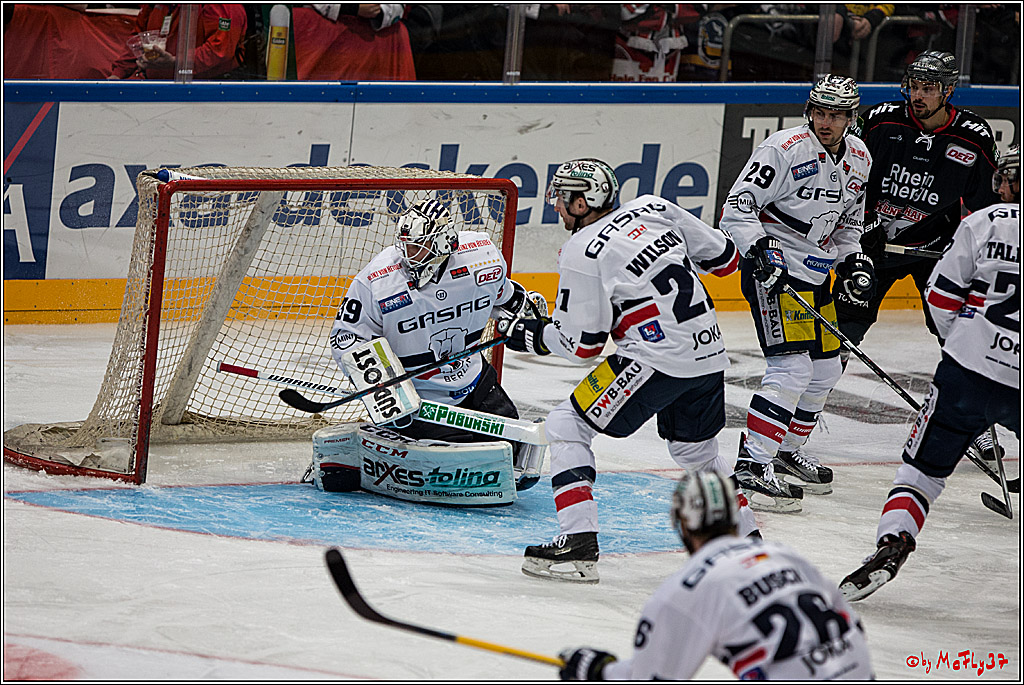 Koelner Haie - Eisbaeren Berlin, 13.11.2016